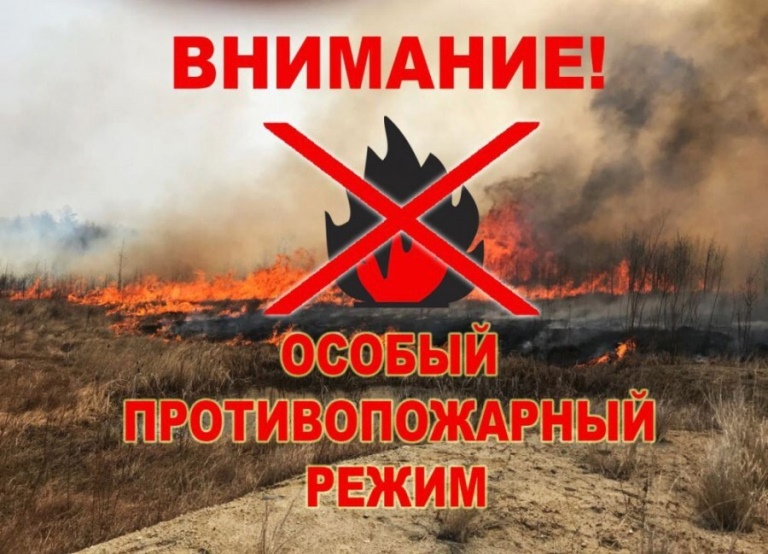 Введен особый противопожарный режим.