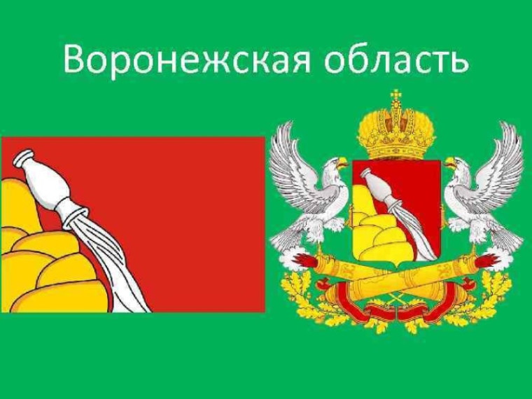 13 июня – 90 лет со дня образования Воронежской области. 13 июня – 90 лет со дня образования Воронежской области.
